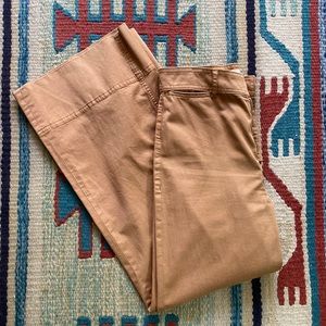 Everlane Lightweight Wide Leg Crop Chino